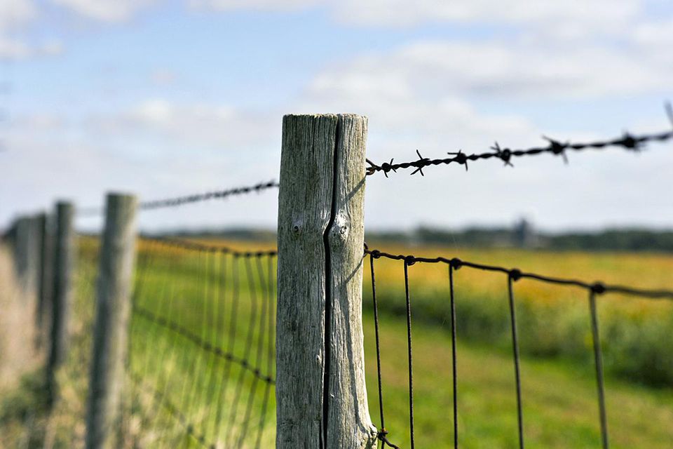 Rural Fencing